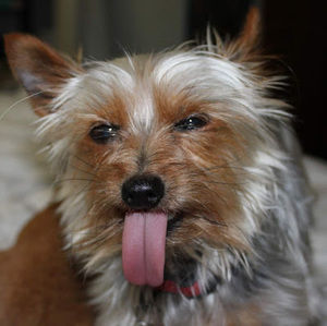 Meet your Posher, Juliana